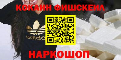 jwh Кингисепп