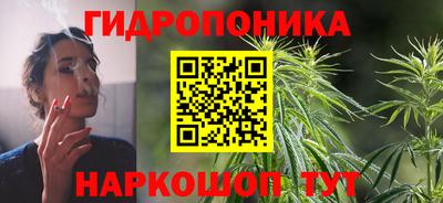 jwh Кингисепп