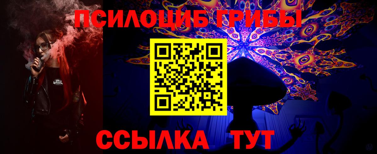 Галлюциногенные грибы Cubensis  Вход с VPN  Краснодар 